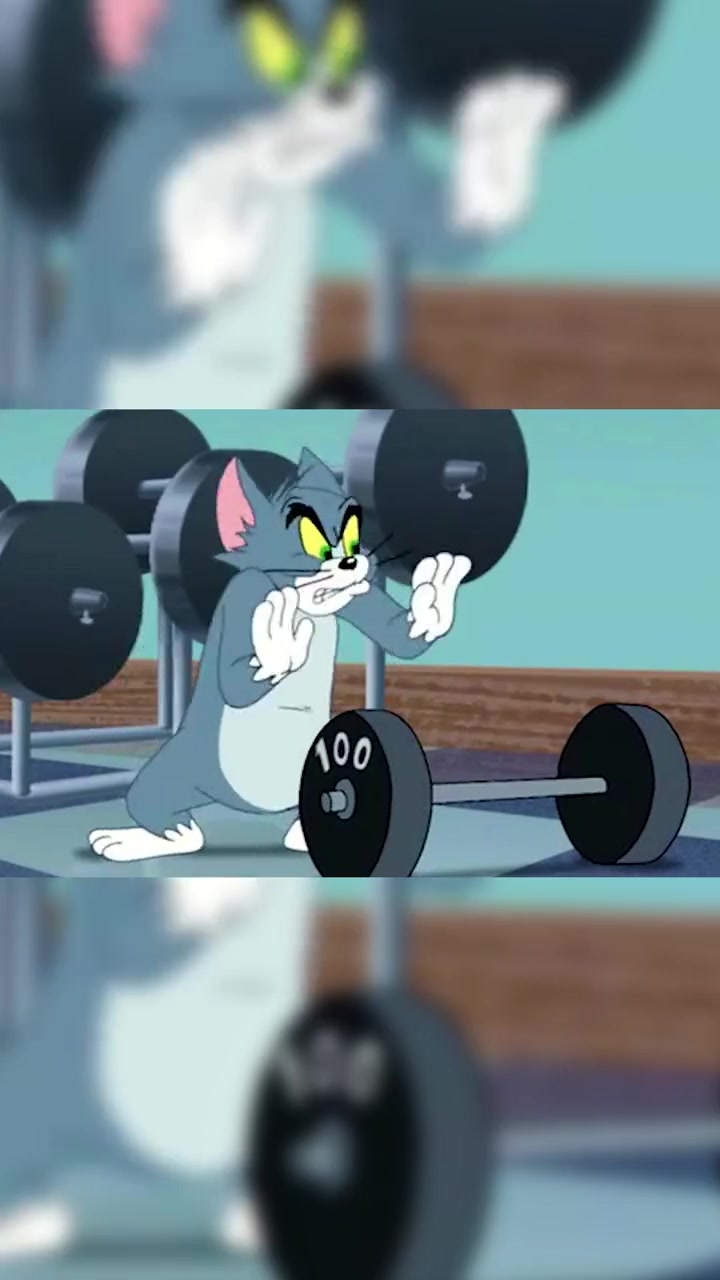 猫和老鼠:杰瑞是怎么把汤姆锻炼成肌肉猛猫的!