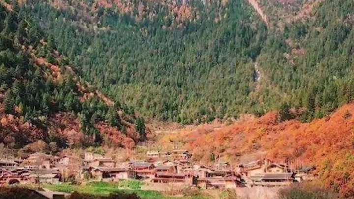 【实用攻略!秋天从成都出发,去哪儿赏红叶最近?】#安逸走四川#日前,四川省林业和草原局发布