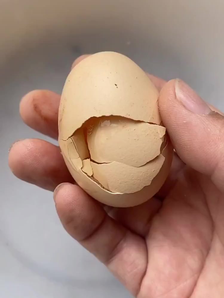 垂钓鲫鱼鲤鱼,最好用的饵料搭配