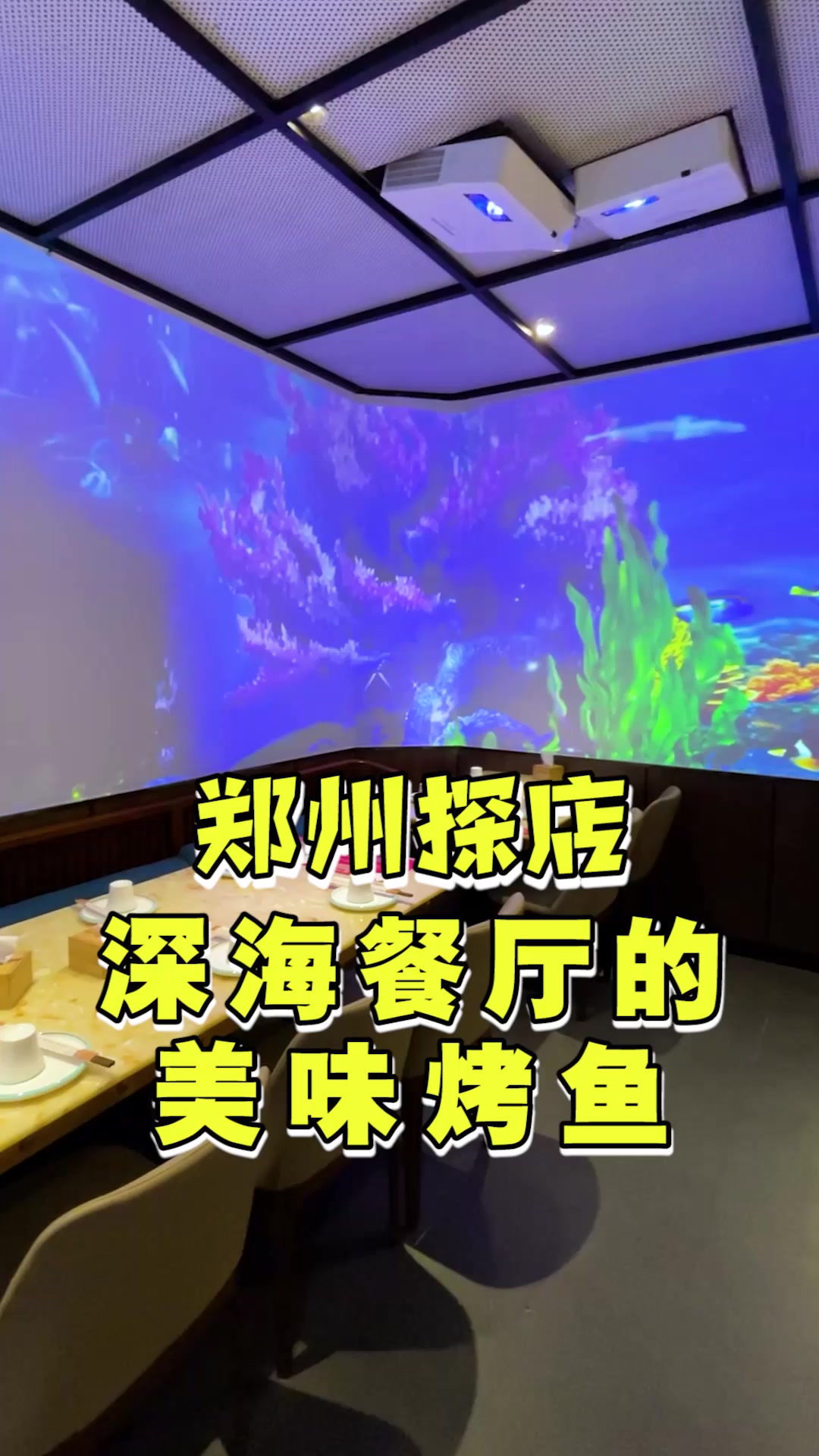 明星老板花800w装修的烤鱼店,很适合约会
