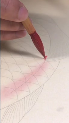 李杰武工笔鲤鱼,鲤鱼画法,喜欢的一起交流学习。