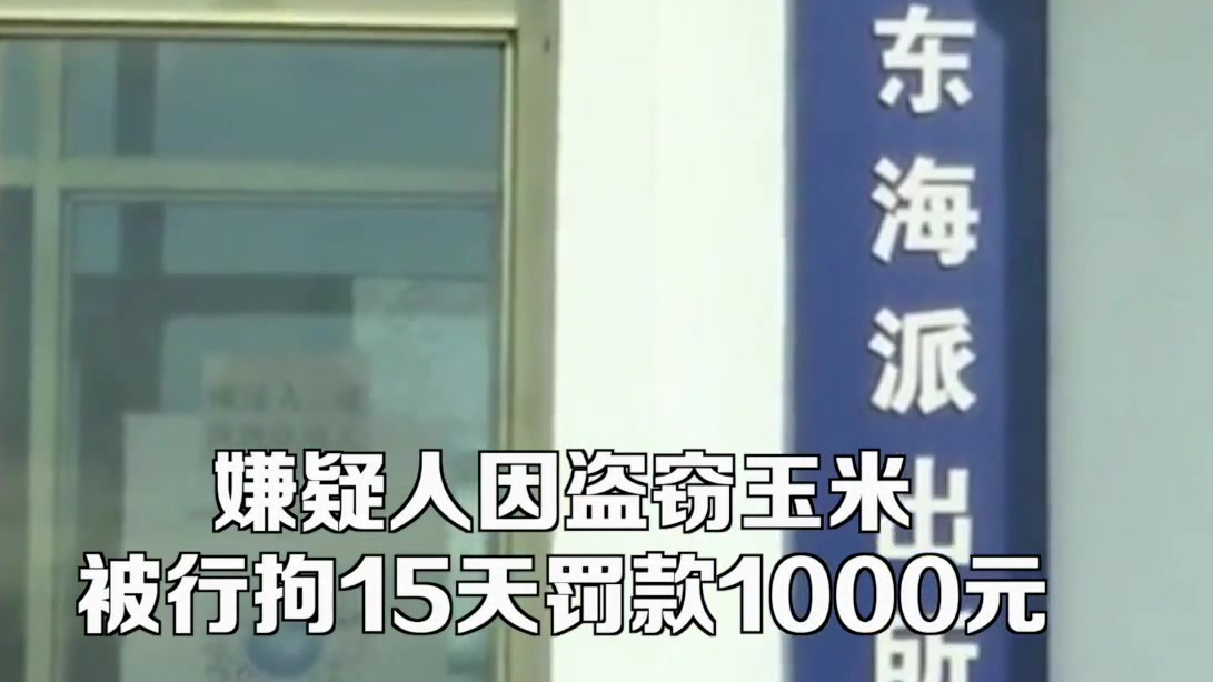 【小偷被抓称认识派出所所长&nbsp;没想到对方就在眼前……】10月31日,黑龙江鸡西一居民发现有人