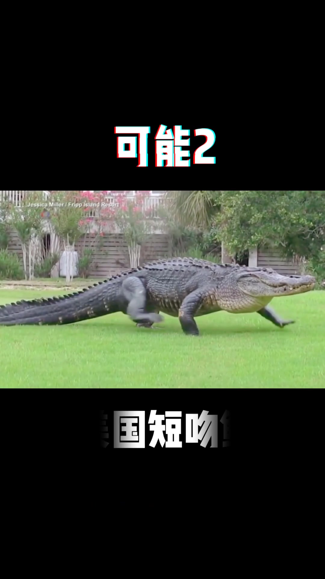 OMG!美国高尔夫球场惊现巨兽?!