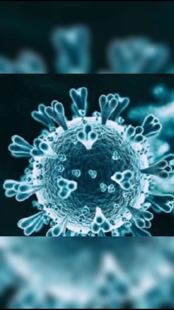 福州发往临沂一批进口带鱼检测阳性