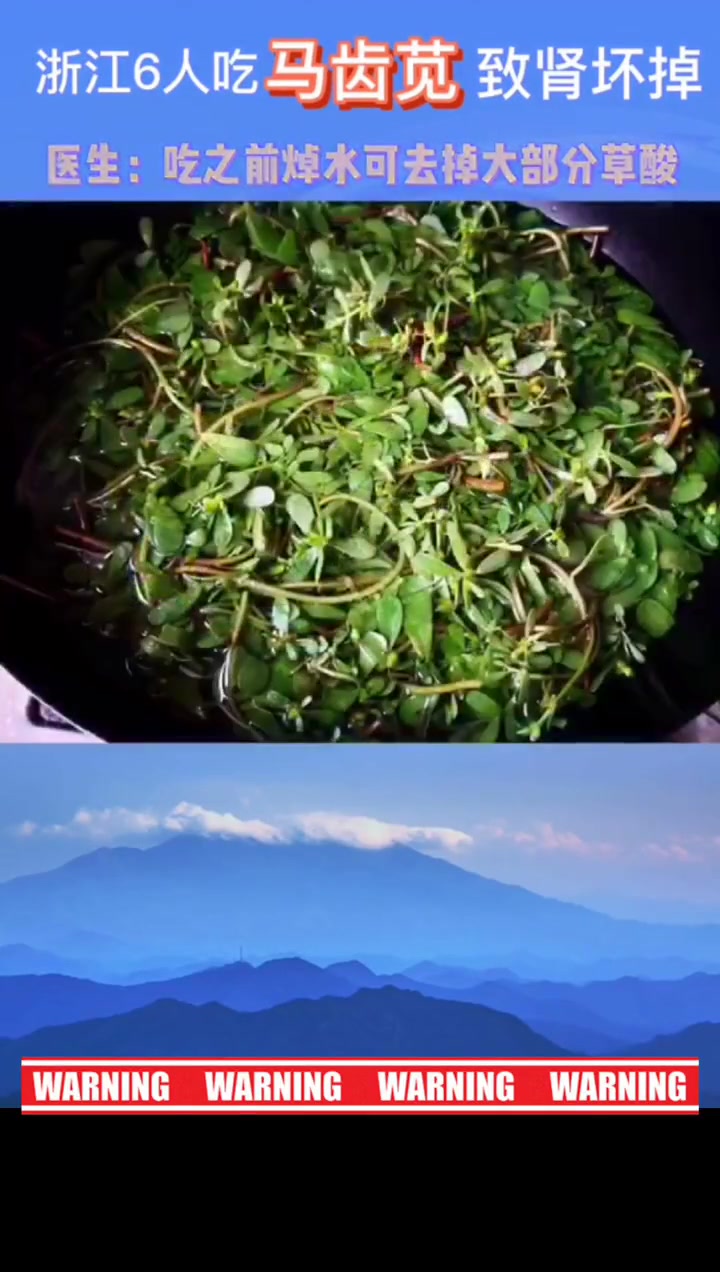 马齿苋、苦瓜、菠菜等吃之前应用水焯一下,不然后果不堪设想