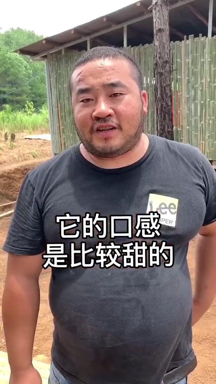 土鸡养到多大吃有营养,买错了就可惜了!