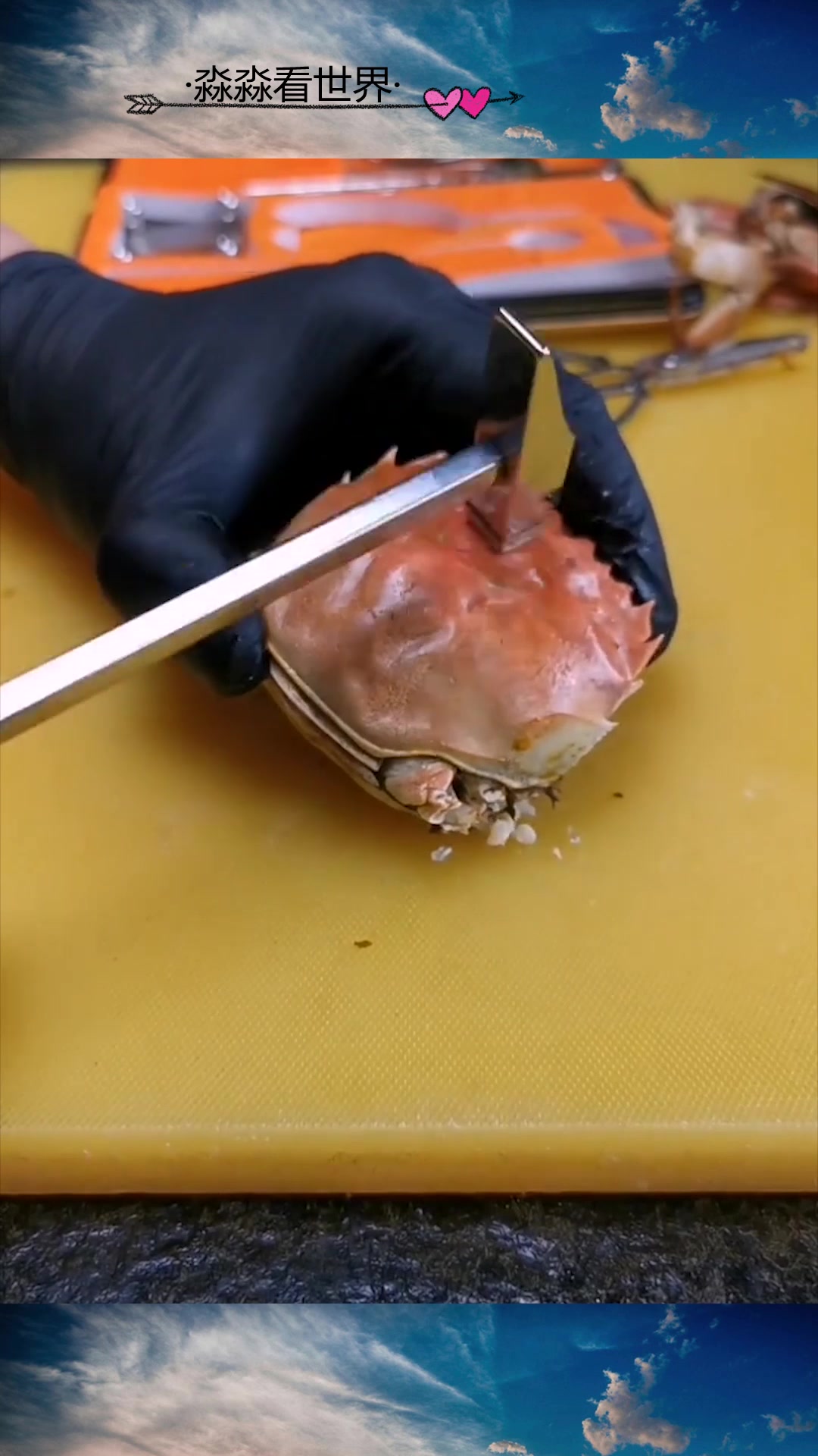 豆腐的神仙吃法,一学就会的海鲜豆腐,就是有点烧钱