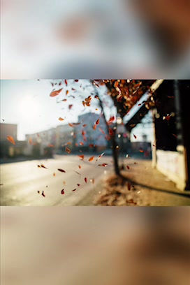 声音加上这个配图你什么感觉?拍摄风壁纸可取高清原图。