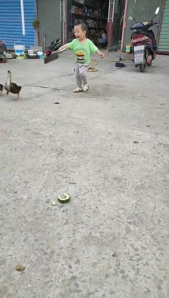 看看二岁儿子怎么杀鸭子