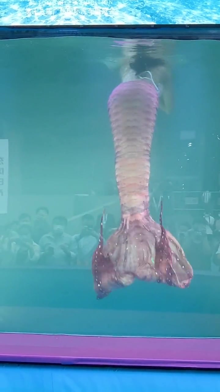 真实版的美人鱼!