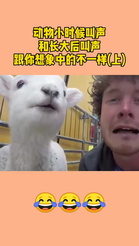 动物小时候叫声,和长大后叫声,跟你想象中的不一样:上