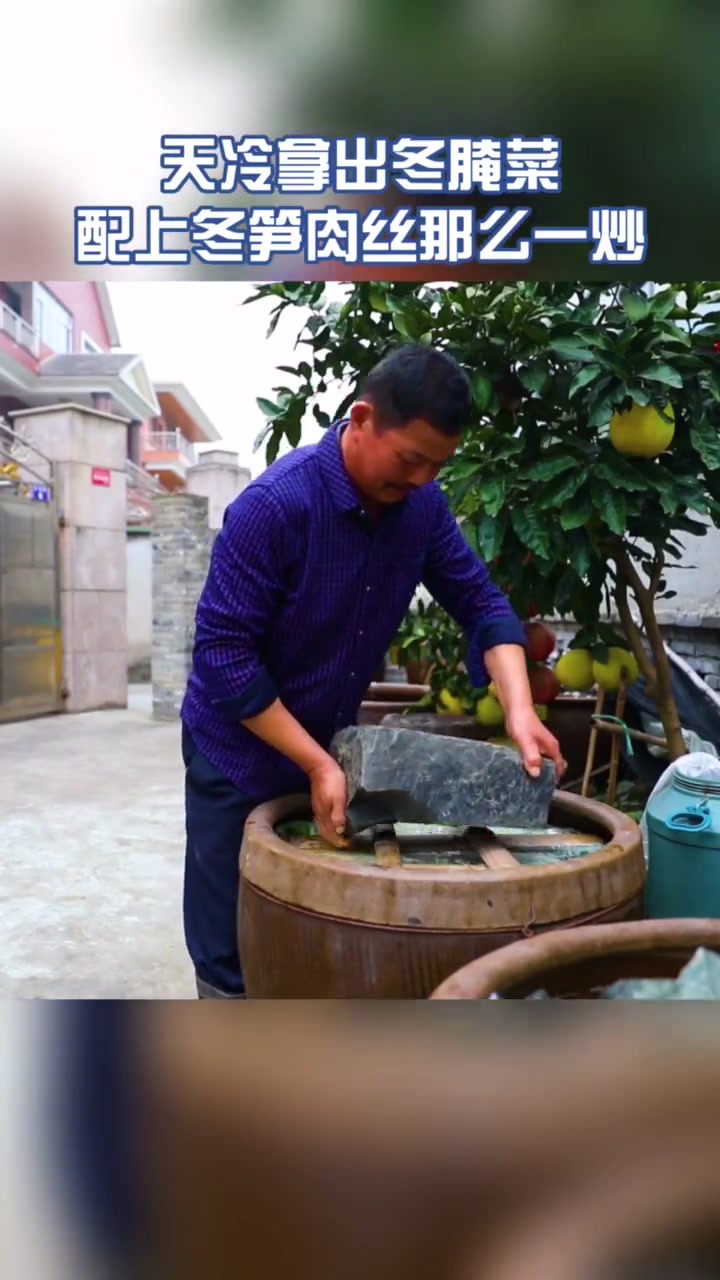 小雪至,冬腌菜下缸