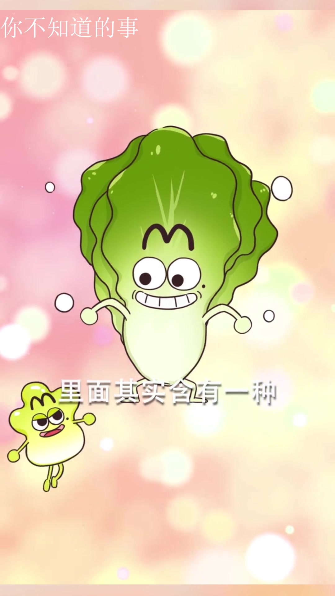 生菜和油麦菜的由来,油麦菜竟然是音译