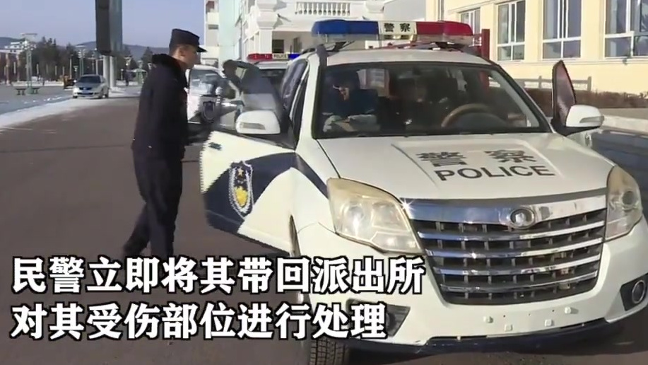 【民警巡山救助一只丑小鸭,原来是斑脸海番鸭】11月16日,呼伦贝尔市额尔古纳自然保护区派出