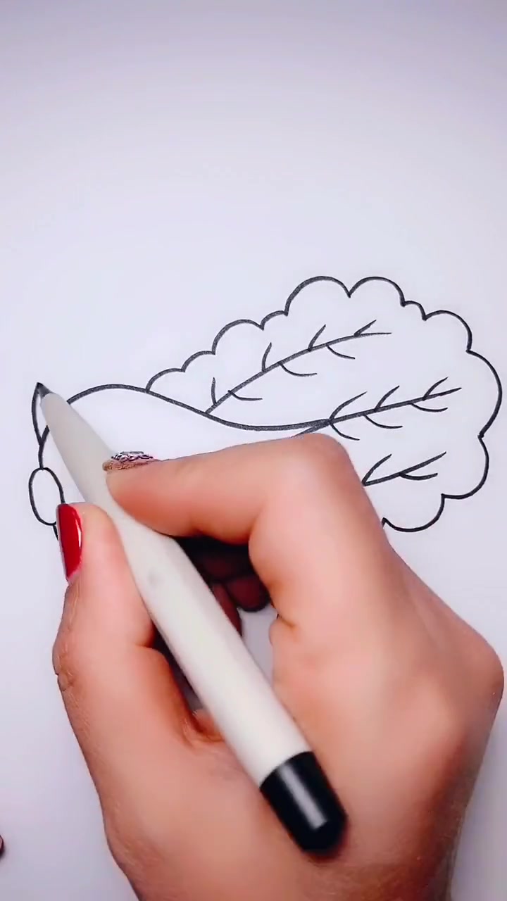 简笔画:一颗大白菜