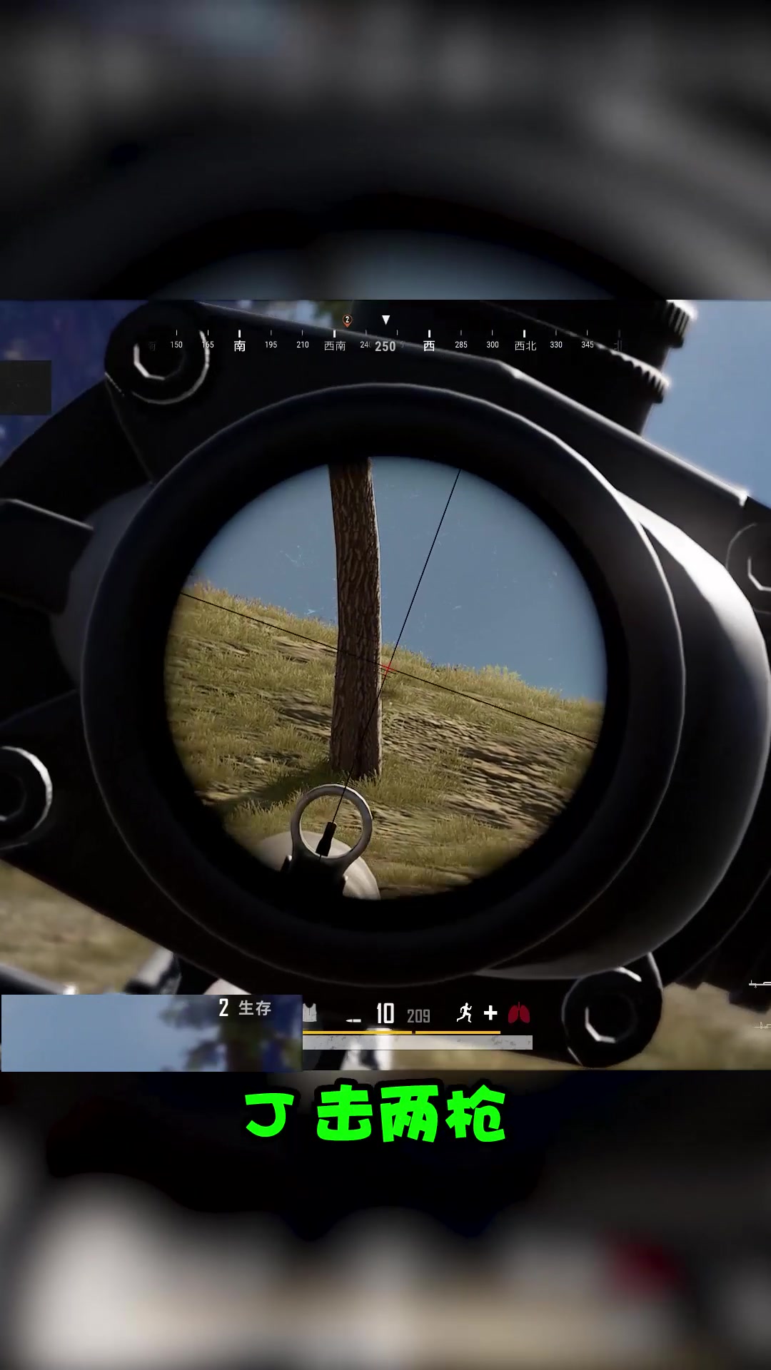 想不到小小的吃鸡中,竟藏有卧龙凤雏般的队友!