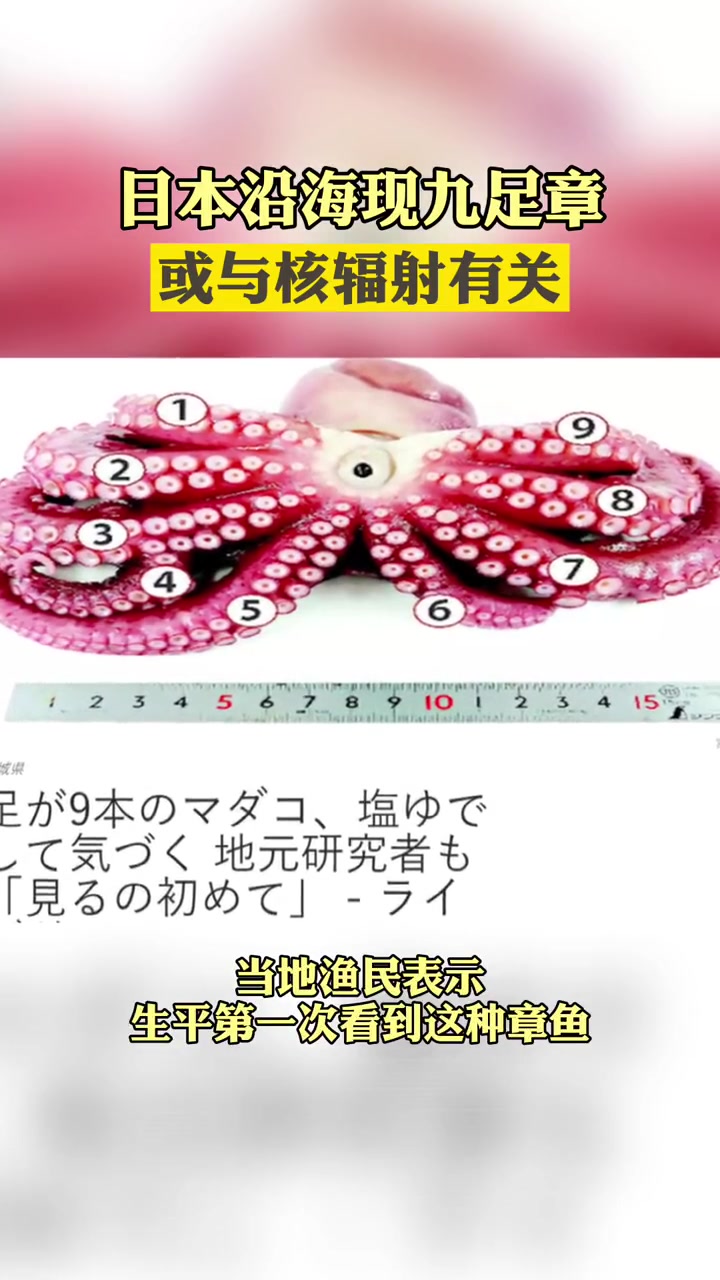 日本沿海现九足章或与核辐射有关当地渔民表示,平生第一次看到这种章鱼