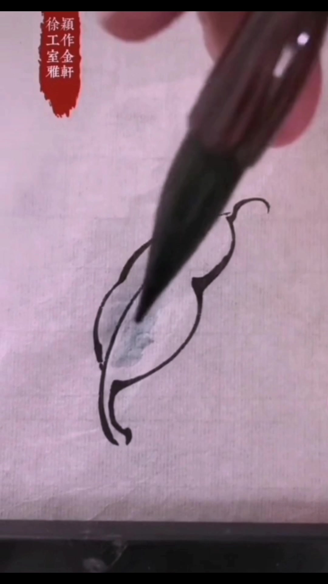 徐颖工作室金雅轩,工笔花鸟画教程零基础工笔画水线画法视频