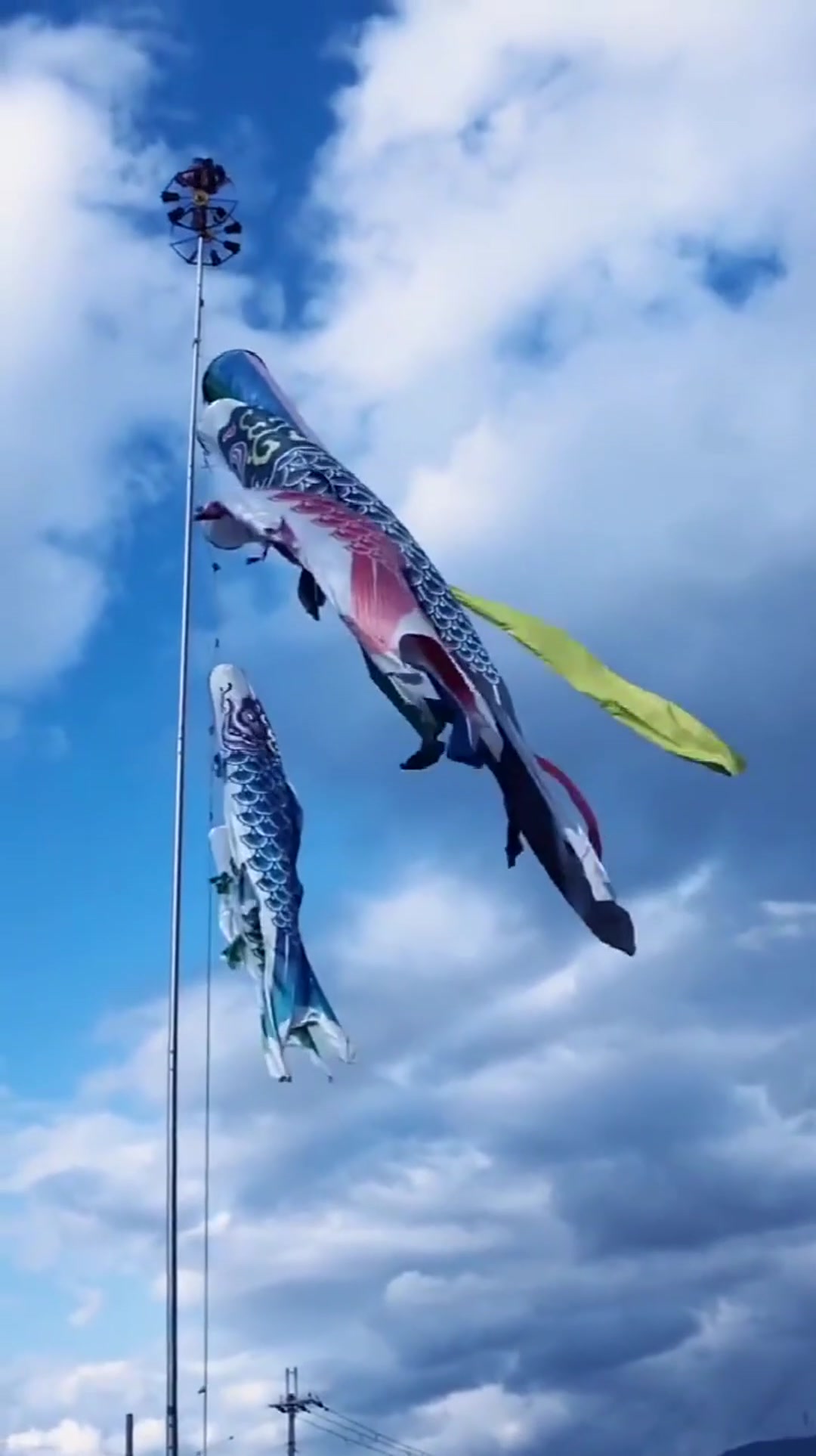 这就是日本动漫中的鲤鱼旗,网友:看到这个,让我想起了哆啦a梦