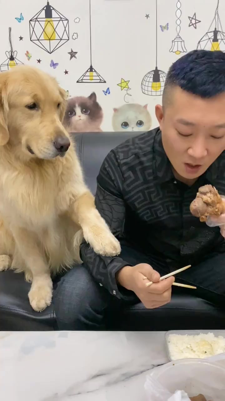 非凡想吃肉,瞧它的反应太可爱了,你们看完不许笑