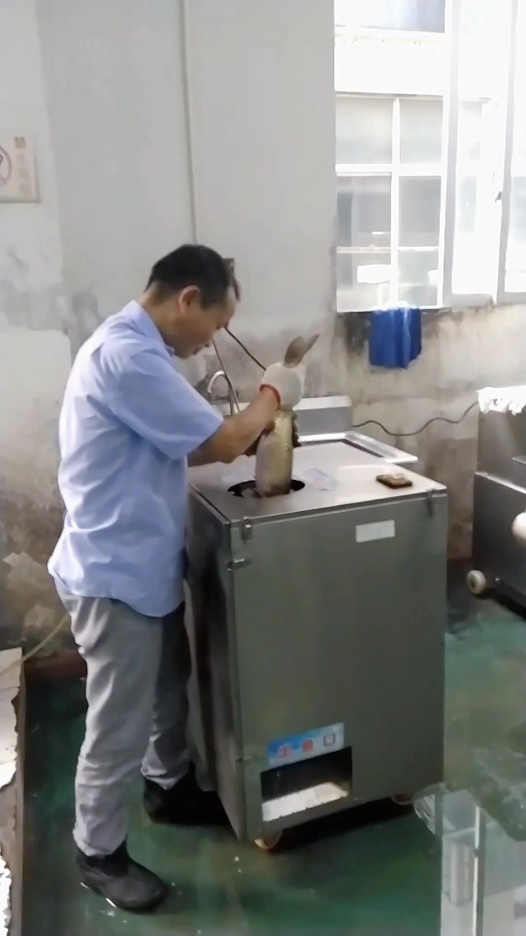 天气冷了,杀鱼那么麻烦的事,就交给杀鱼机吧,去鳞开背或者开肚