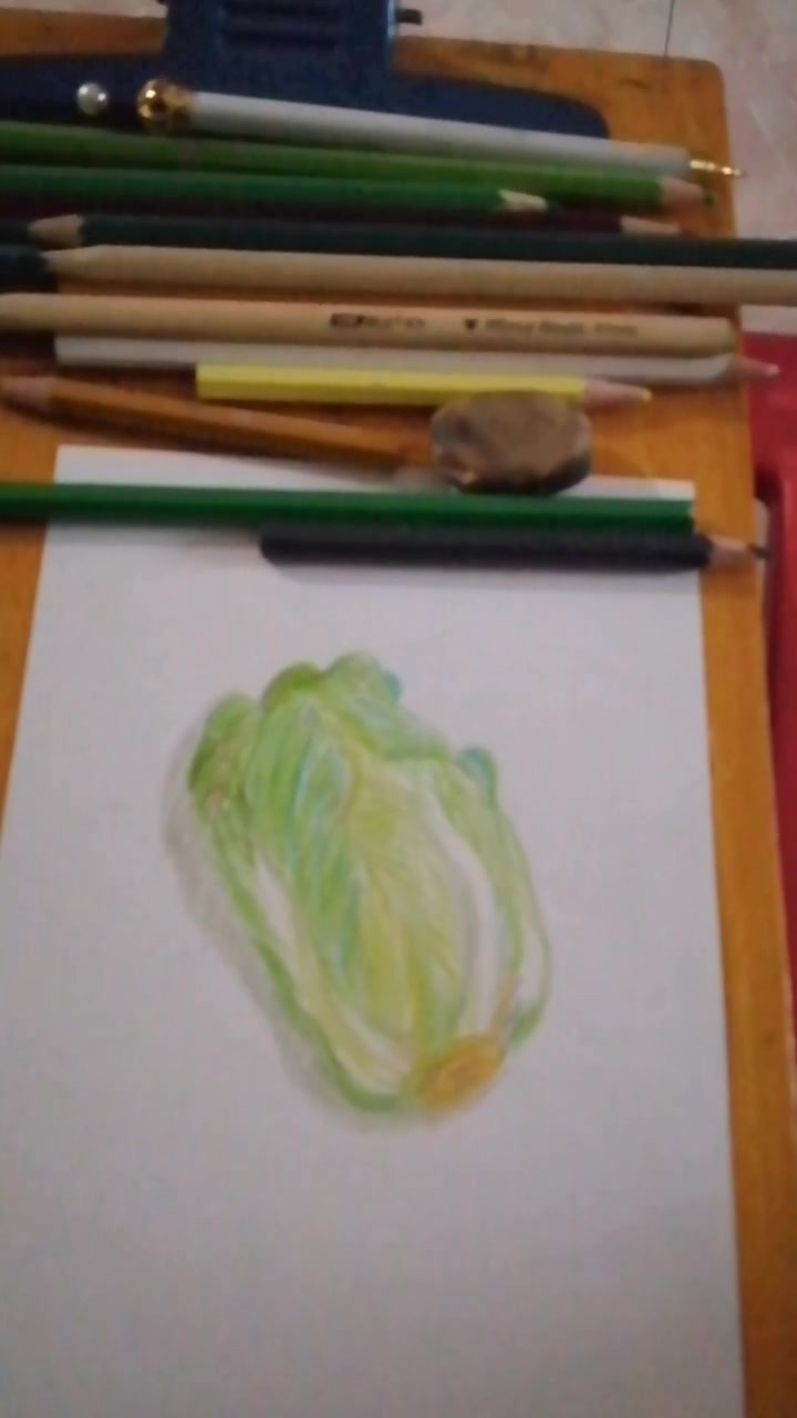 铅笔素描画大白菜