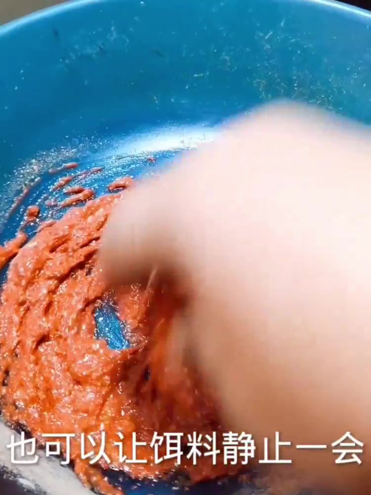 轻松简单方便直接的,超级浓腥的饵料制作