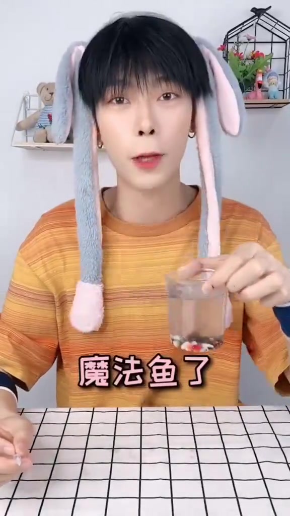 你们想知道魔法鱼长大后的样子吗