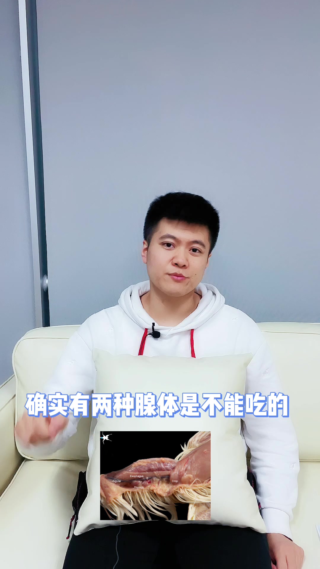 「企鹅医生健康科普」鸡身上那些部位不能吃