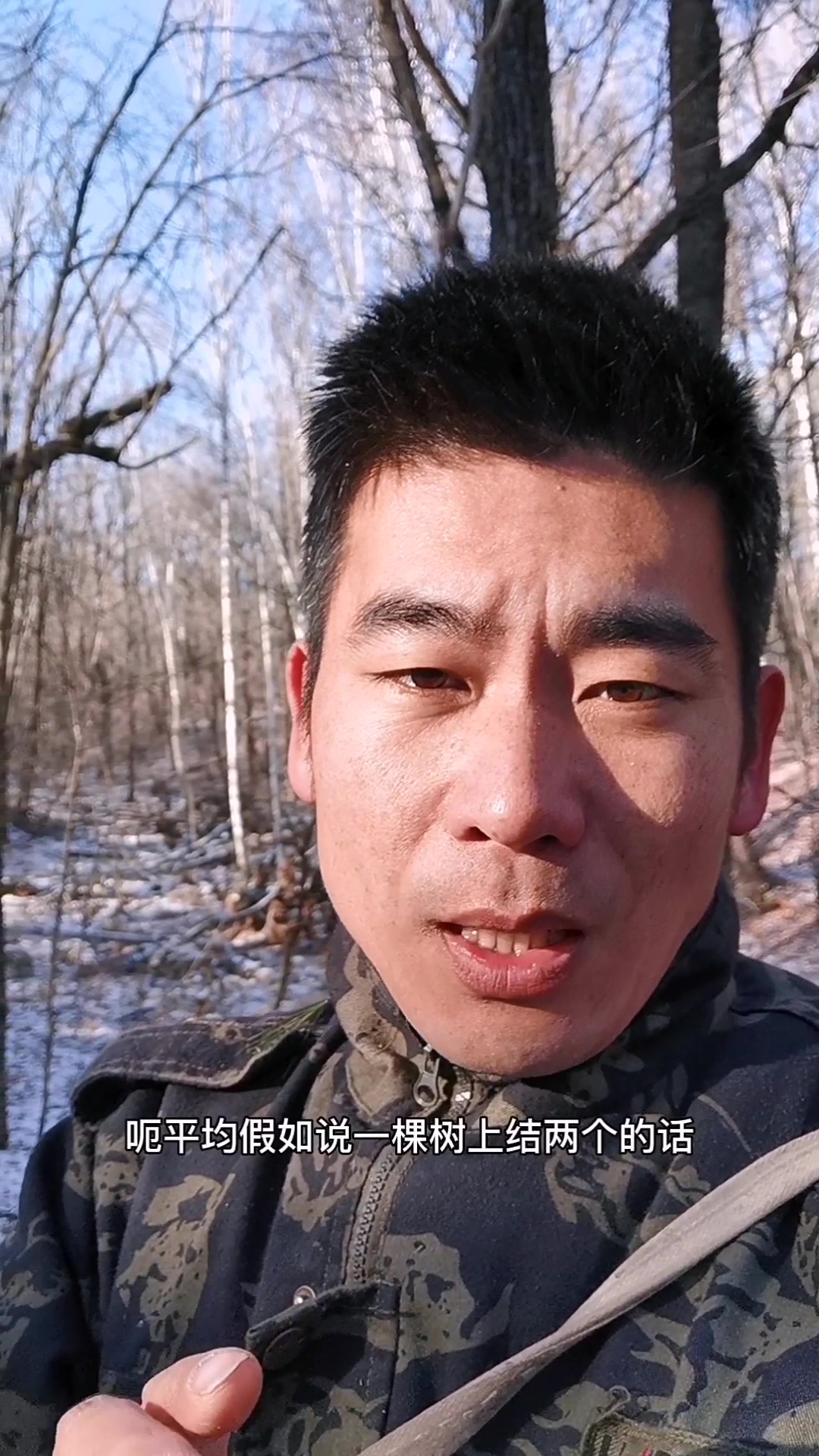 全网挑战赶山人打猴头菇,一天80多个猴头菇,采了50多棵树