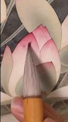 李杰武工笔画:相信喜欢画荷花的画友应该不少,一起画荷。