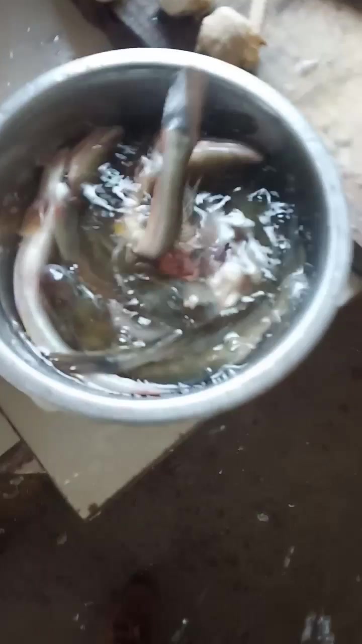 连云港特产沙光鱼