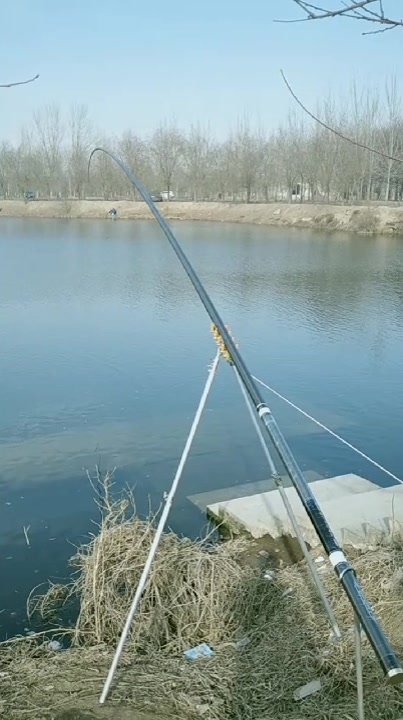 打窝竿长节竿长竿钓鱼