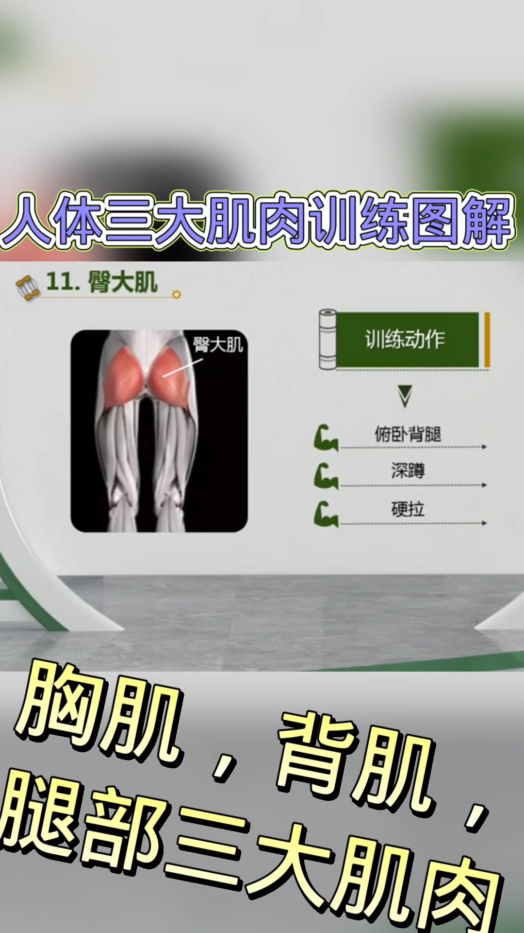 人体主要三大肌肉训练训练图解和训练动作推荐