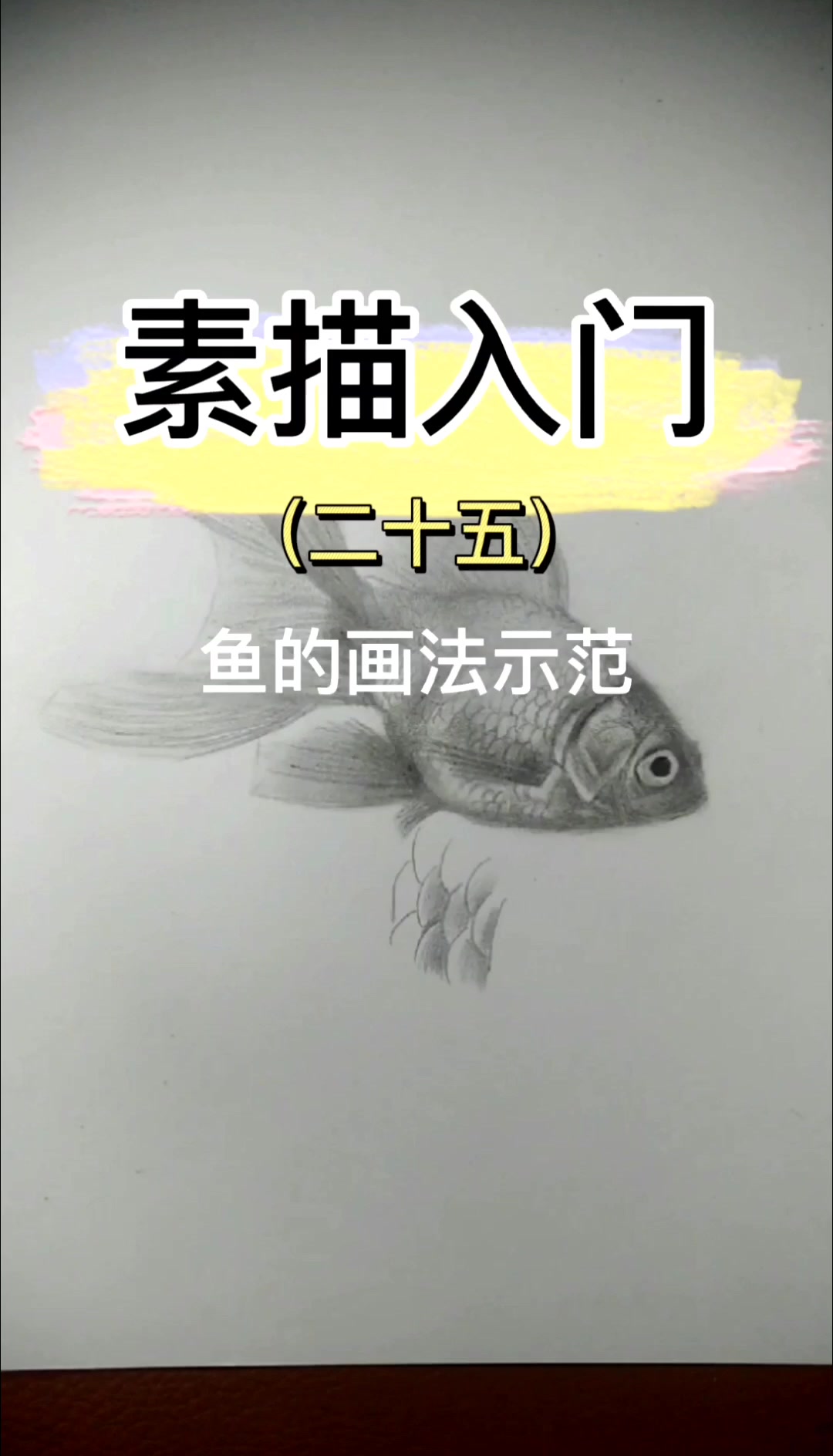 素描动物鱼的画法示范-鱼鳞的表达塑造
