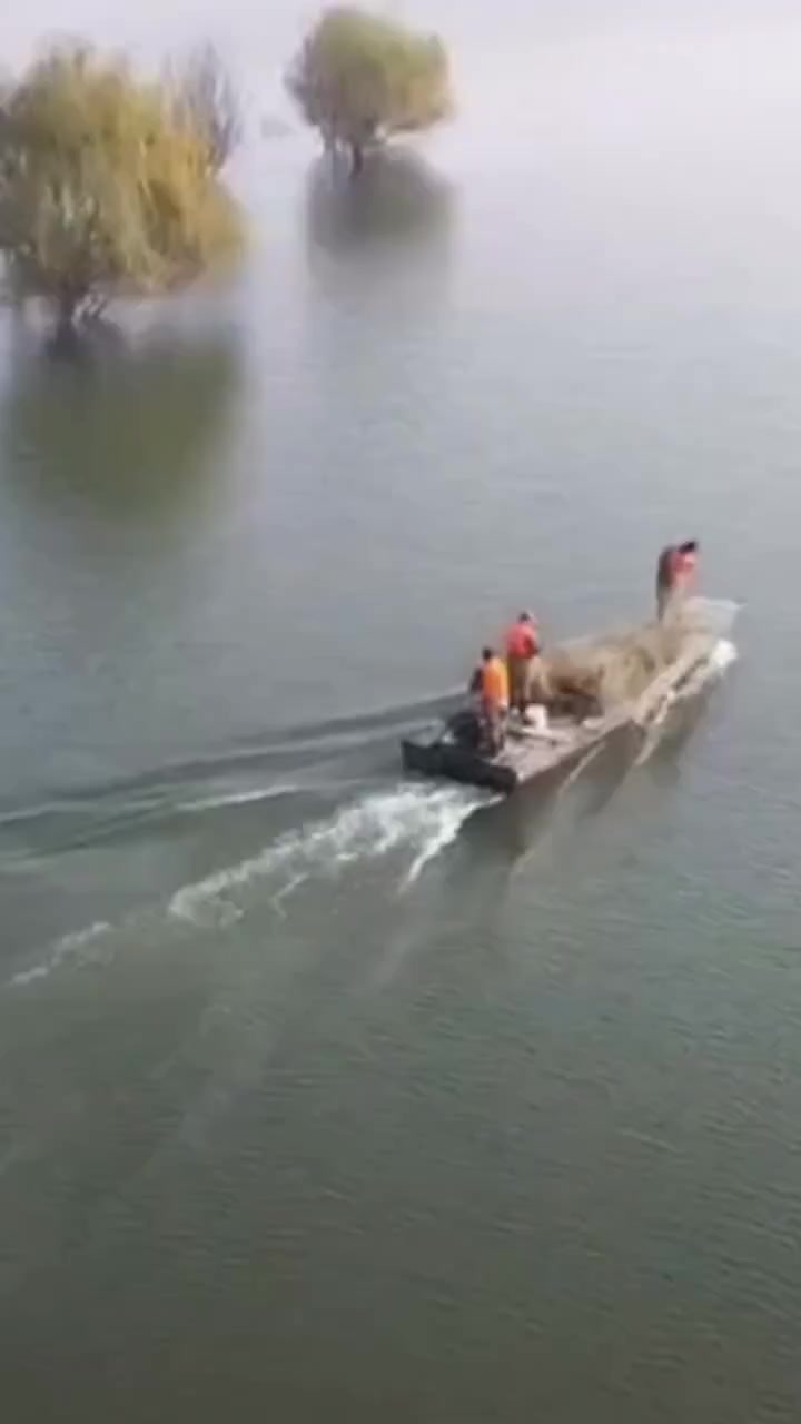 日照水库开始捕鱼了!