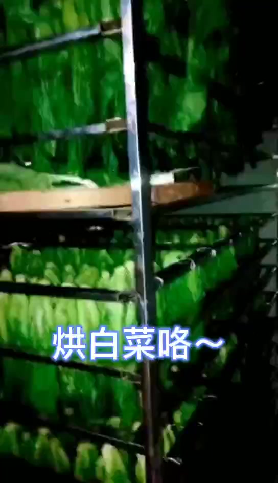 真麦食品烘干机,蔬菜热风烘干设备—白菜干功效与作用