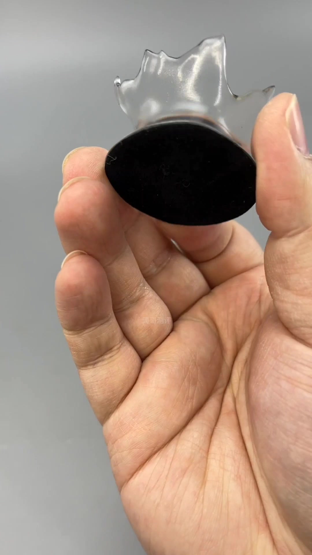 400块买了个“鲸鱼”,你说值吗?