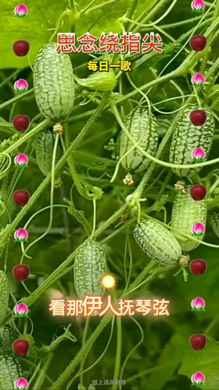 海鸟飞鱼:思念绕指尖