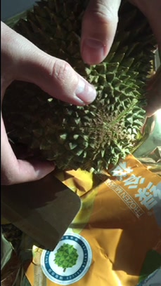 榴莲的英语是durian。偷偷去女友家吃榴莲,就是有点贵!