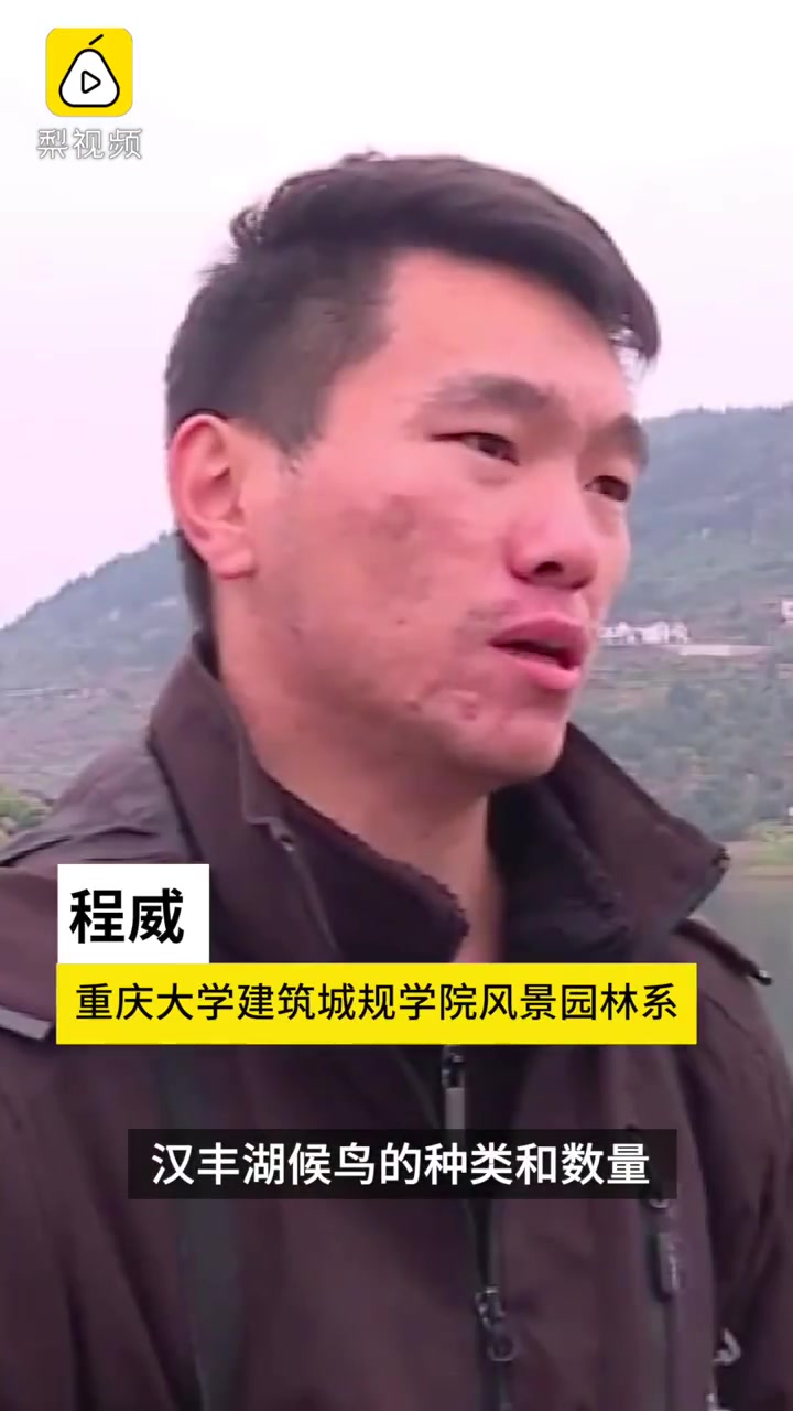 全球不足1500只!濒危物种青头潜鸭到重庆越冬,今年来了2只