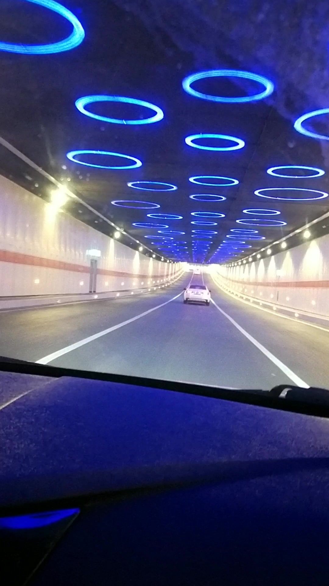 合肥天鹅湖网红隧道,打卡