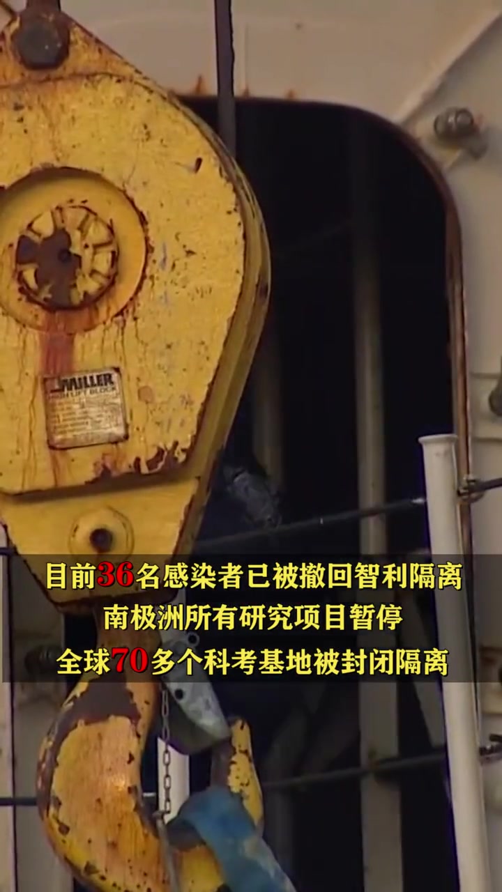 专家:封在冰中的病毒多年后或“重启”,应对附近企鹅做核酸检测