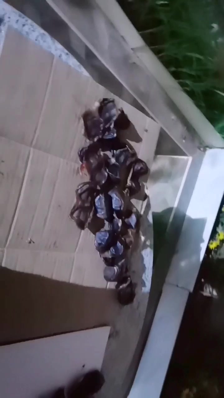 自己晒鸭肾好吃又放心