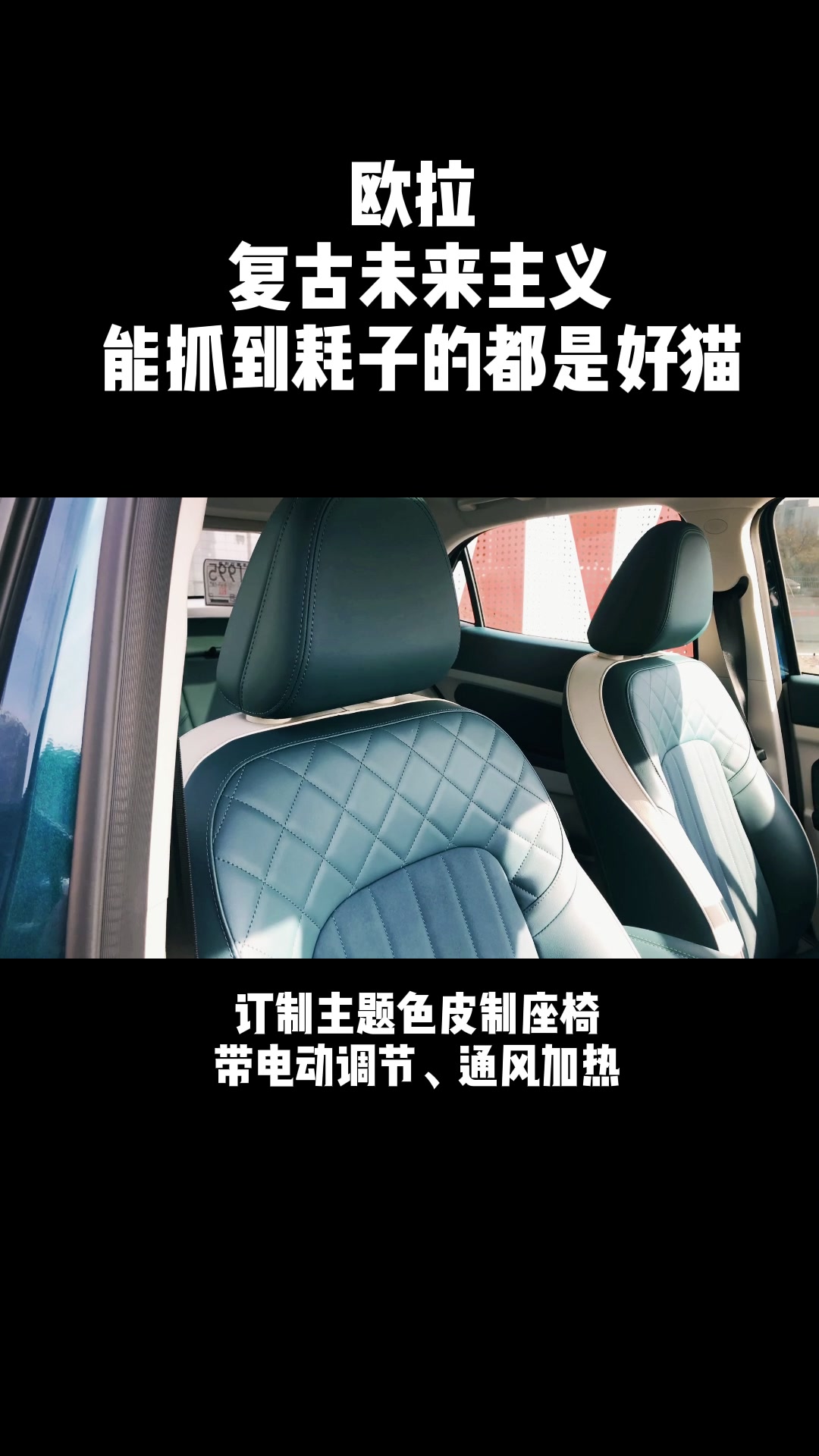 复古未来主义-欧拉好猫