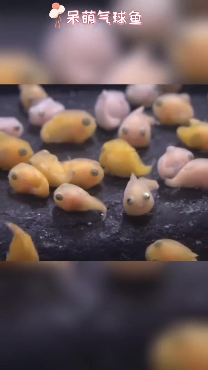 实力演绎什么叫长残了……