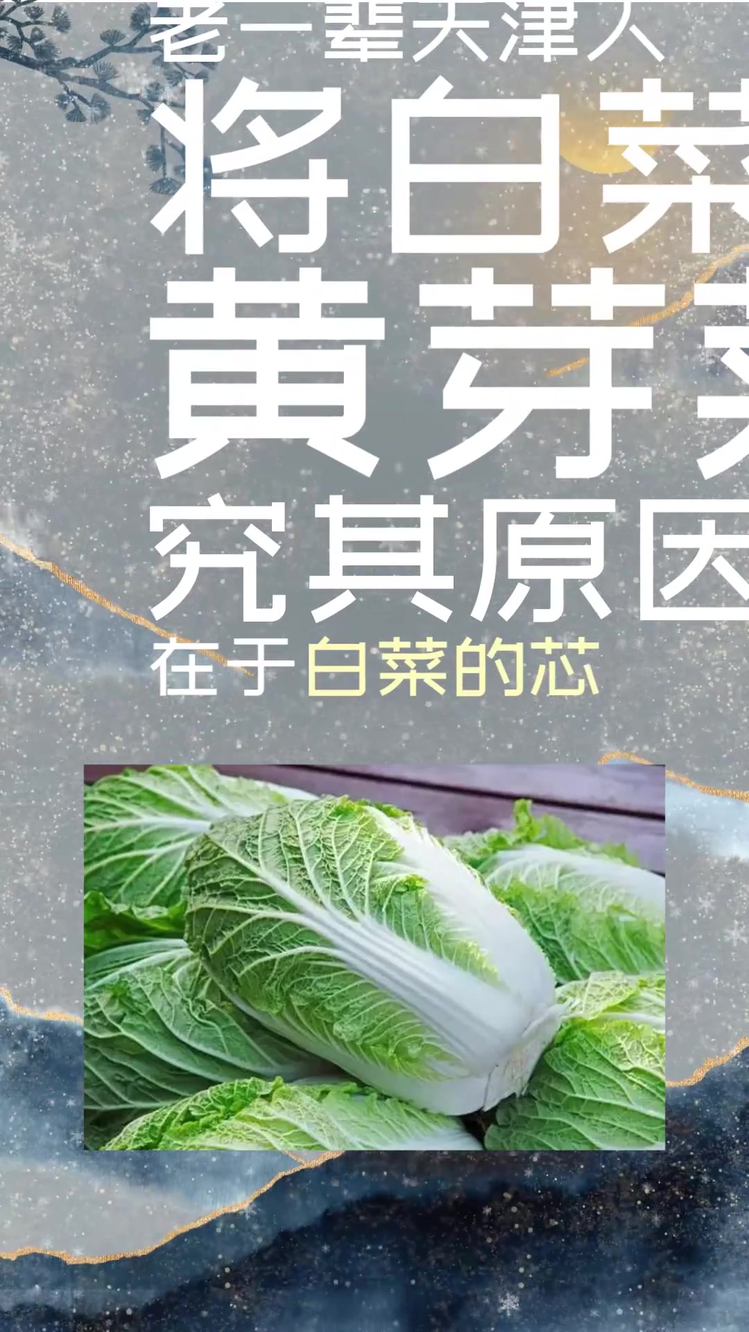 为什么旧时天津卫在小寒时节吃黄芽菜?