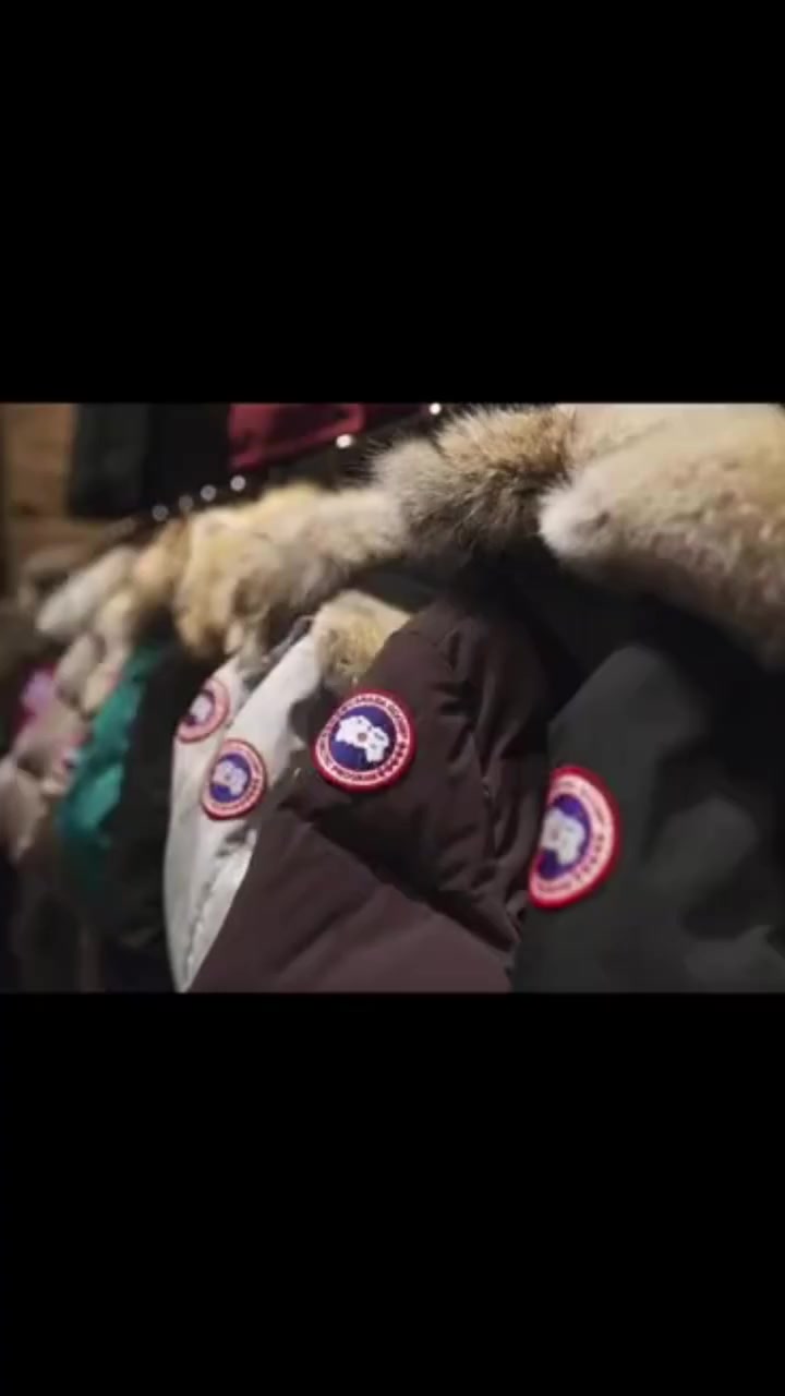 加拿大鹅卖断货:上海门店排队两小时,店员称进货不容易