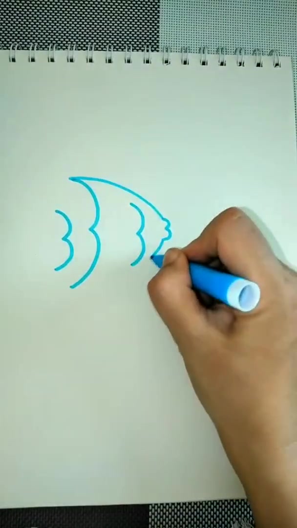 1分钟1幅画-简笔画入门视频教程-海鱼