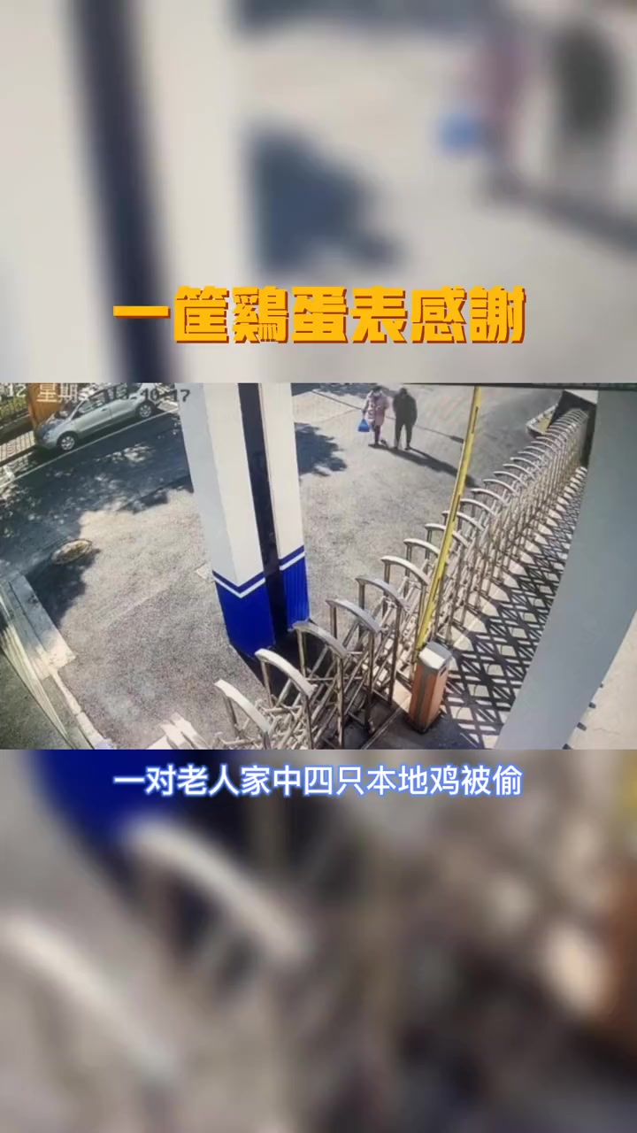 派出所门口的一筐本地鸡蛋